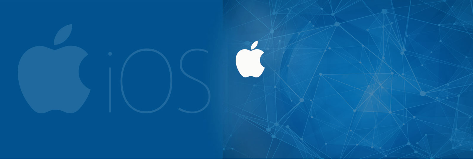 IOS App Development Company